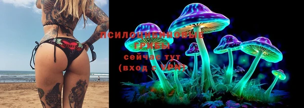 прущая мука Ростов