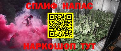 МДПВ Бийск