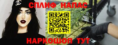 МДПВ Бийск