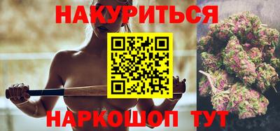 МДПВ Бийск