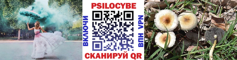 Псилоцибиновые грибы прущие грибы  даркнет наркотические препараты  Бугуруслан 